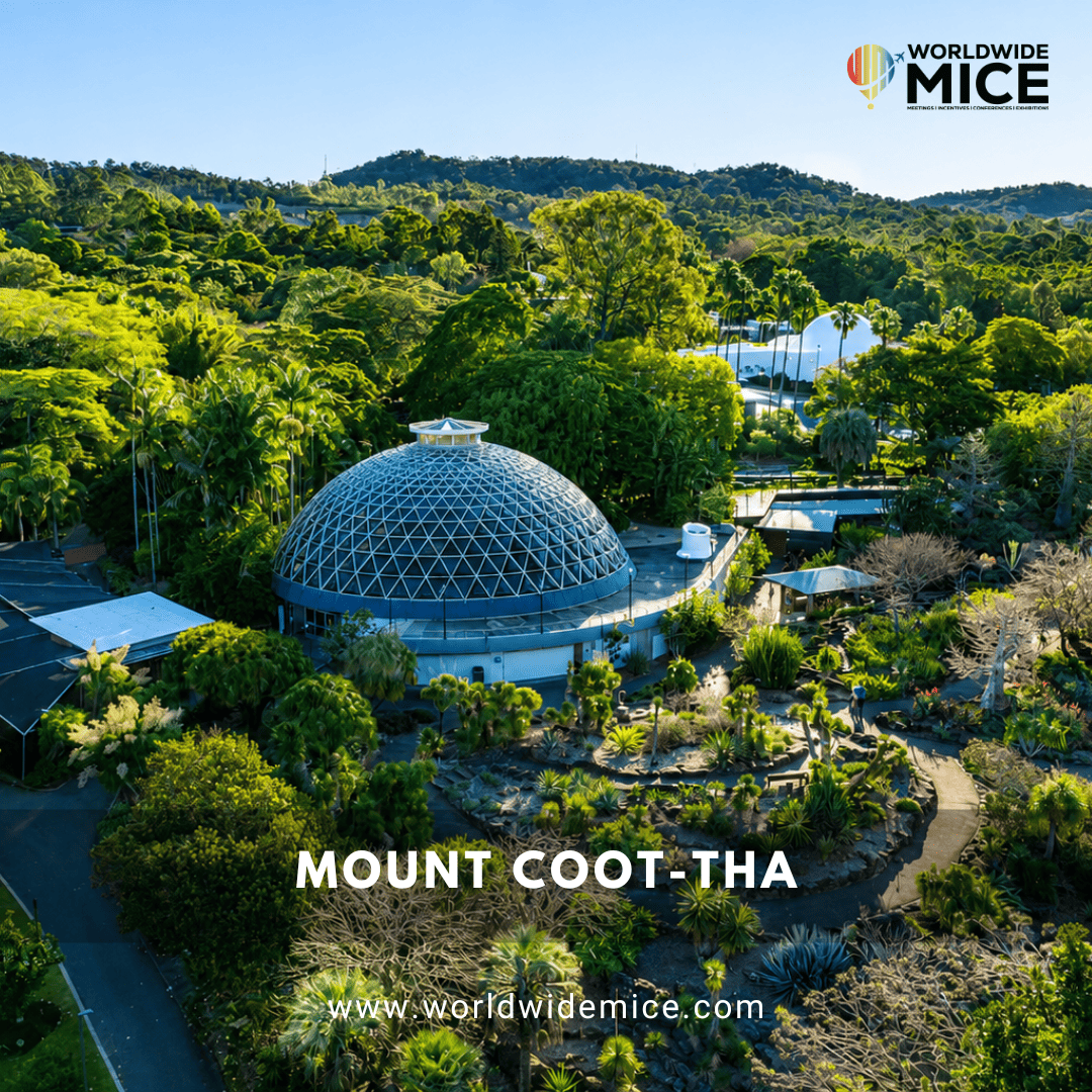 Mount Coot-tha